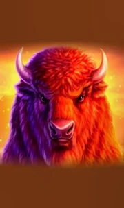 Buffalo 50